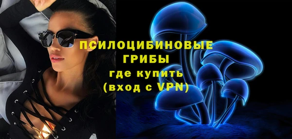 крисы Киренск