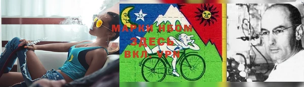 крисы Киренск