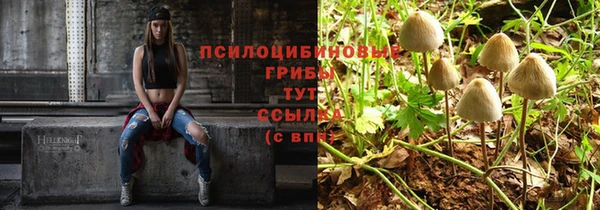 крисы Киренск