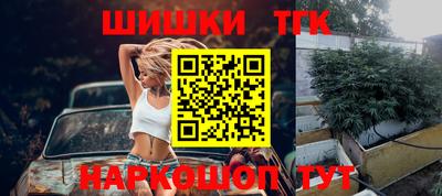 индика Новозыбков