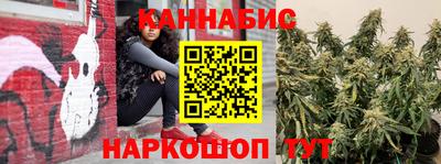 a pvp Новодвинск