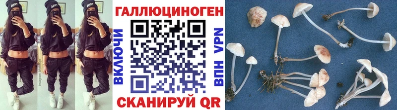 Псилоцибиновые грибы Cubensis  Одинцово 