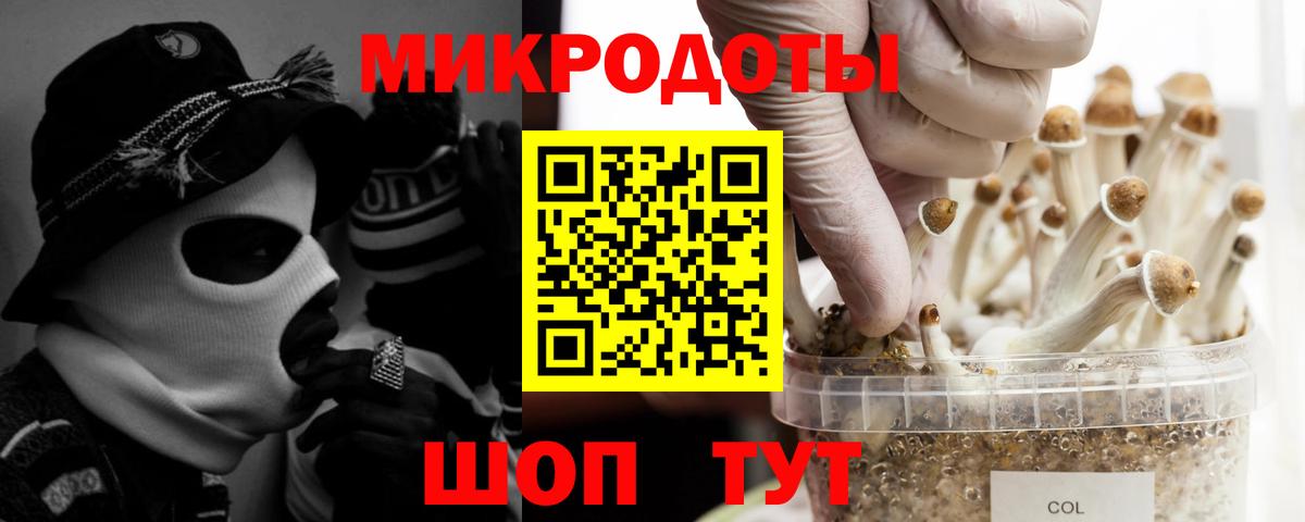 Галлюциногенные грибы GOLDEN TEACHER Одинцово